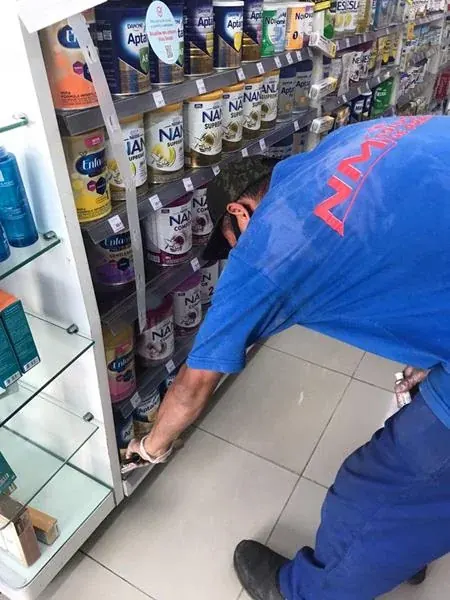 Controle de pragas realizado pela NM Solução de Pragas