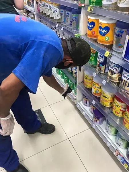 Controle de pragas realizado pela NM Solução de Pragas