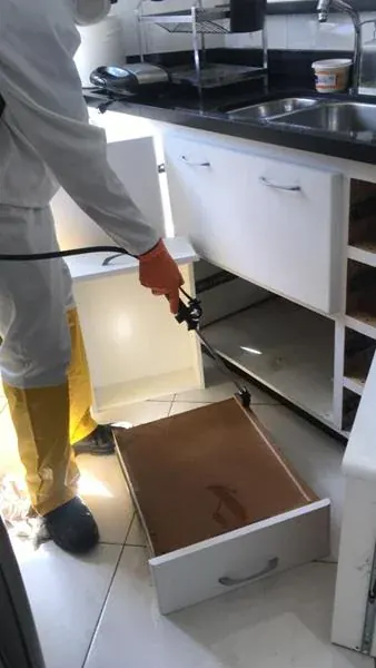 Serviço de descupinização realizado pela NM Solução de Pragas - foto 1