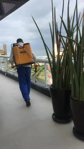 Serviço de descupinização realizado pela NM Solução de Pragas - foto 2