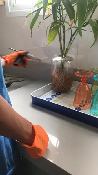 Serviço de descupinização realizado pela NM Solução de Pragas - foto 4