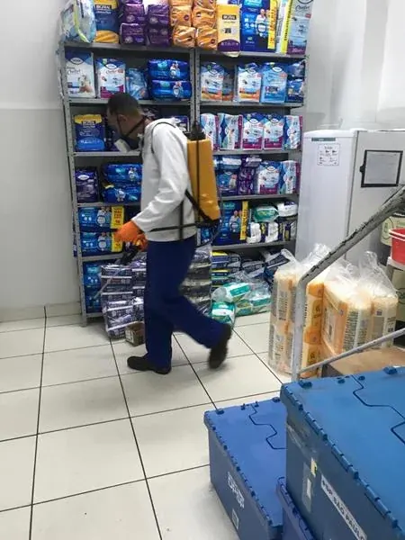 Serviço de descupinização realizado pela NM Solução de Pragas - foto 5