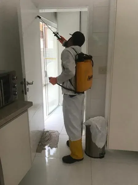 Serviço de descupinização realizado pela NM Solução de Pragas - foto 9