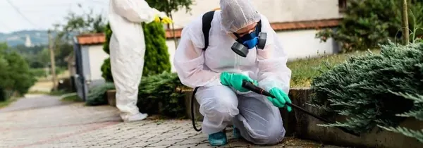 Técnico da NM Solução de Pragas realizando controle de pragas em Bertioga